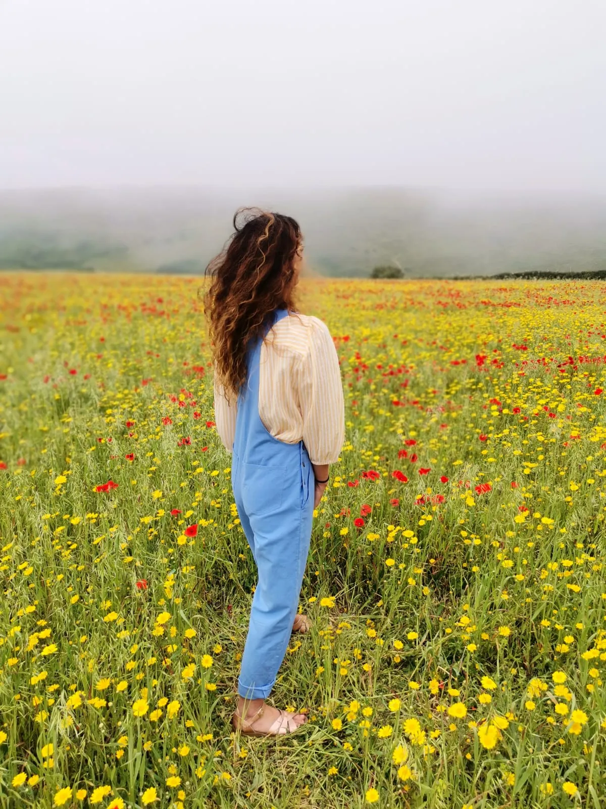 Linen Dungarees in Sky Blue